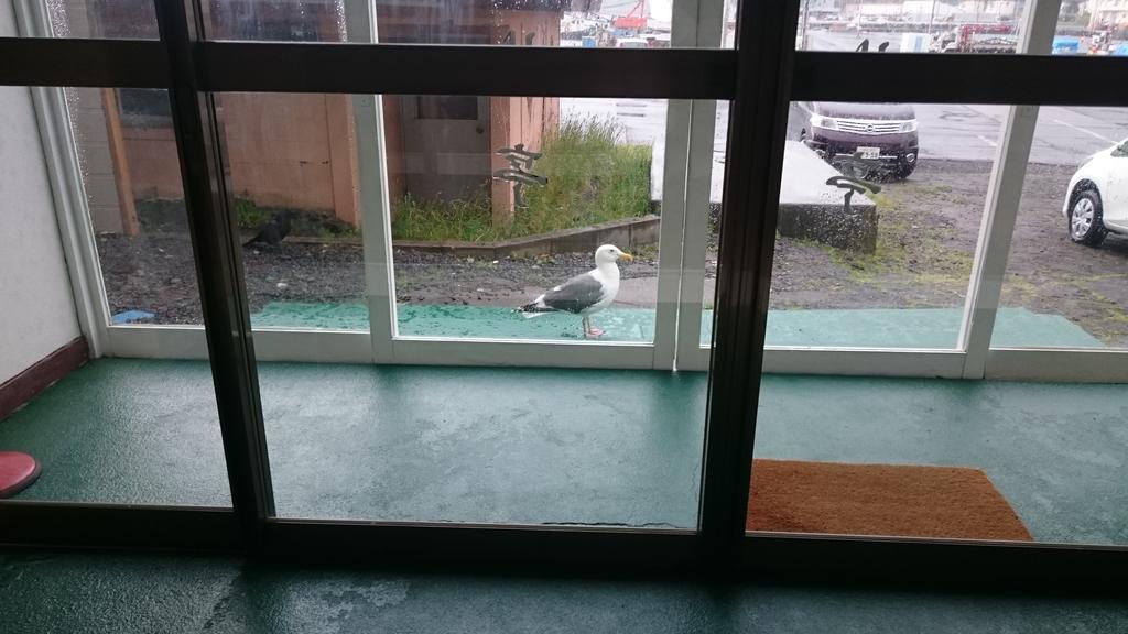 Ryokan Saihokutei Rishirifuji Eksteriør bilde